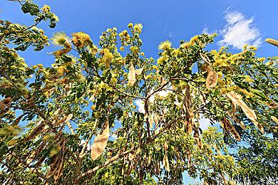 CDPR已将游戏测试工作从波兰拓展到北美